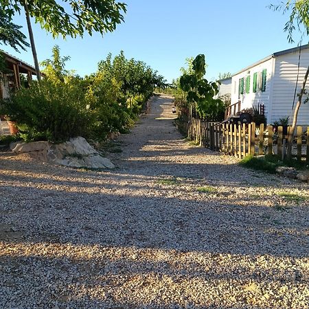 Castelserás Finca Los Pedrenalesヴィラ エクステリア 写真